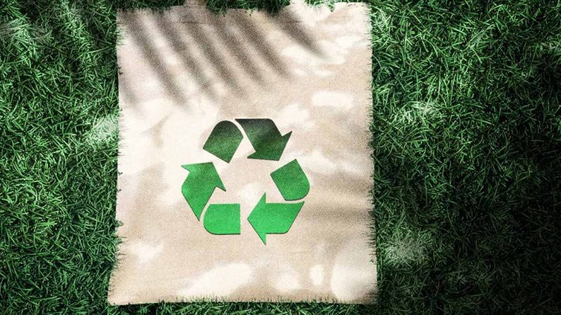 The Best Eco-Friendly Web Host for Your Sustainable Business