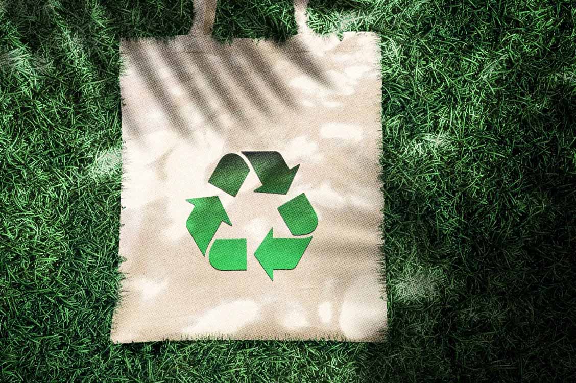 The Best Eco-Friendly Web Host for Your Sustainable Business